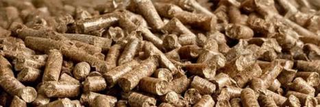 Feuchtigkeitsmessung in Biobrennstoffen