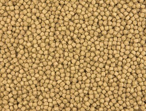 Fischfutter Pellets