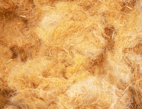 Behind the fiber dryer