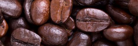 Feuchtigkeitsmessung in Lebensmitteln