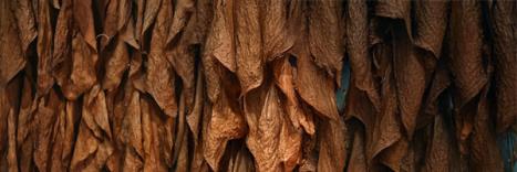 Feuchtigkeitsmessung in Tabak und Genussmitteln